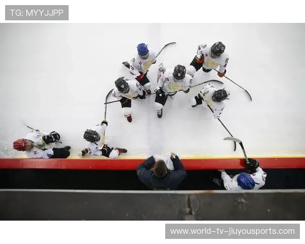 冰球选手飞身撞击护栏，观众尖叫