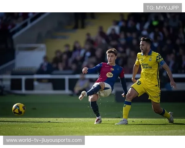 热门比赛赛前预览与预测，热门比赛赛前预览与预测分析